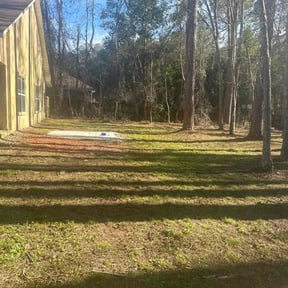 Leaf Removal by Top Turf L.L.C reviewed on August 21, 2025