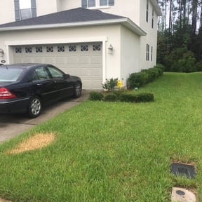 Bush Trimming by Evergreen Valley reviewed on August 20, 2025