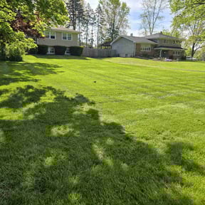 lawn service by Marvel scapes reviewed on August 20, 2025