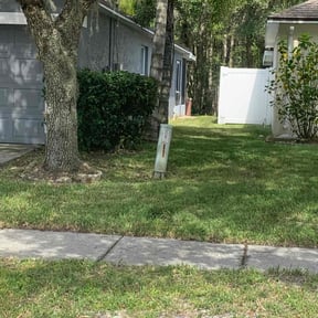 Bush Trimming by Doodlebug Services reviewed on August 20, 2025