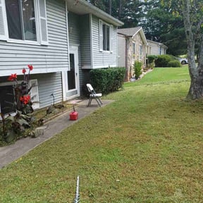 Bush Trimming by YardPro reviewed on August 20, 2025