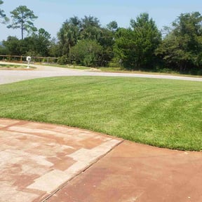 landscaping by nathaniel baker reviewed on March 1, 2026