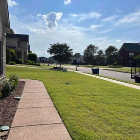 yard care by JJlascaping & mansory reviewed on August 15, 2025