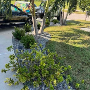 Flower Bed Weeding by Montana&#039;s services reviewed on November 10, 2025