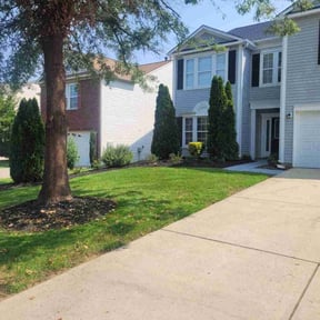 yard maintenance by YFC Lawn Care and Maintenance reviewed on August 19, 2025