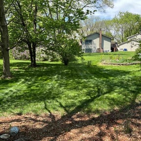 grass maintenance by Cat's Landscaping reviewed on August 4, 2024