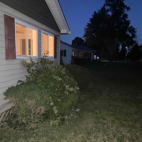 Bush Trimming by Out ur league reviewed on October 20, 2025