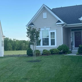 yard maintenance by Magik Compass LLC reviewed on December 1, 2021