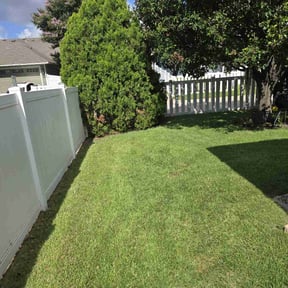 yard maintenance by Mainline Lawn Care reviewed on August 15, 2025