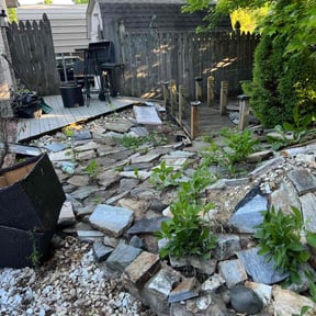 Leaf Removal by tk handyman reviewed on August 19, 2025