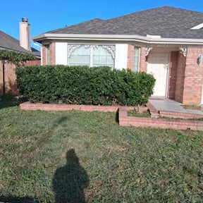 Bush Trimming by Jim’s lawn’s l l c reviewed on November 10, 2025