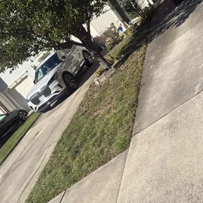 Flower Bed Weeding by David&#039;s lawn care reviewed on October 23, 2025