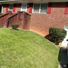 Bush Trimming by EV Great Valley Landscaping,LLC. reviewed on August 19, 2025