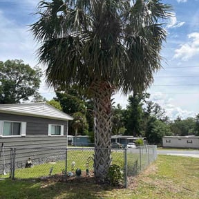 Bush Trimming by Not on my watch 2.0 reviewed on April 20, 2026