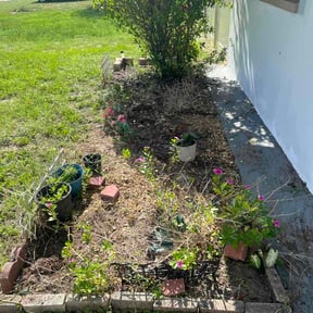 Flower Bed Weeding by Maestros del Césped reviewed on July 2, 2026