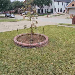 Flower Bed Weeding by TRIPLLLE LLC reviewed on November 22, 2025