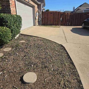 Bush Trimming by Nick Poole Home Services reviewed on March 1, 2026