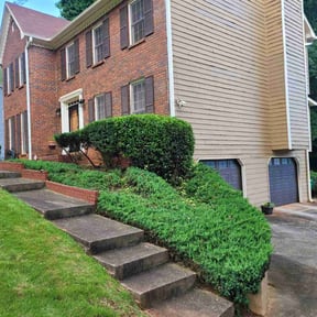 Bush Trimming by RLK Landscaping reviewed on August 19, 2025