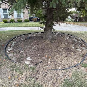 Flower Bed Weeding by Acheys landscaping LLC reviewed on November 18, 2025