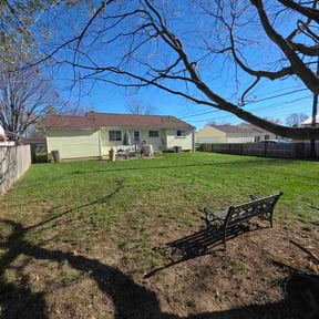 Leaf Removal by Guadalupe reviewed on November 24, 2025