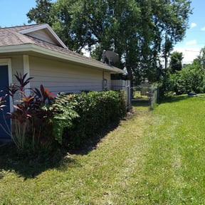 Bush Trimming by The Green Earth Lawn Care reviewed on August 15, 2025
