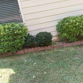 Bush Trimming by Charles G Landscaping LLC reviewed on August 15, 2025