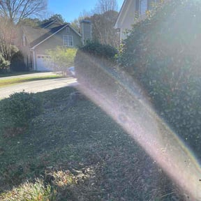 Flower Bed Weeding by Native LandCare LLC reviewed on March 19, 2026