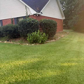 Bush Trimming by Dan&#039;s Lawn &amp; Landscaping reviewed on November 8, 2025