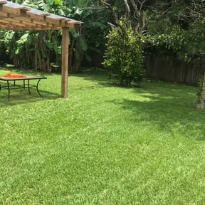 landscape maintenance by Lawn & Yard care services reviewed on August 16, 2025