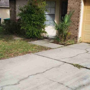 Leaf Removal by Larissa Beaty reviewed on September 17, 2025