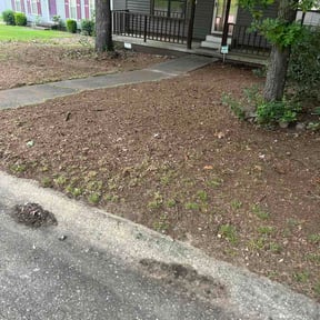 Leaf Removal by HGD landscaping reviewed on July 1, 2026