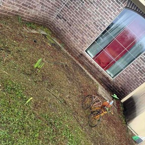 Flower Bed Weeding by RRSCINC reviewed on March 11, 2026