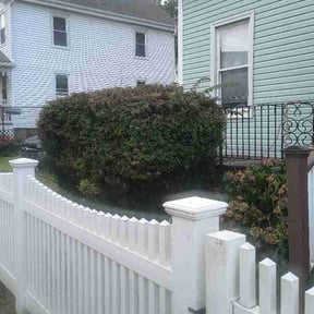 Bush Trimming by Integrity lawns reviewed on August 17, 2026