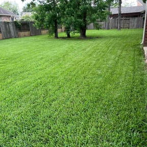 residential landscaping by Green Thumb Academy reviewed on November 23, 2025