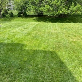 grass maintenance by Twalight Scaping reviewed on September 14, 2025