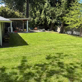 yard work by Vertical Lawn Care reviewed on August 15, 2025