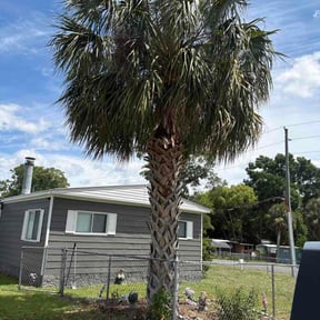 Bush Trimming by N.N.S lawncare services reviewed on August 27, 2026