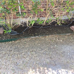 Leaf Removal by alexandrinoshomeandlawnservice reviewed on May 3, 2025