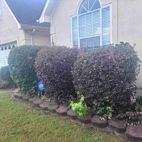 Bush Trimming by The Smith Company of Atlanta LLC reviewed on July 11, 2026