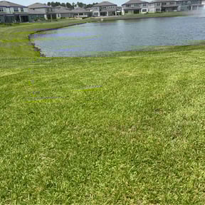 landscaping services by Man vs Lawn reviewed on August 21, 2025