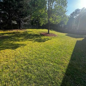 yard service by F&R Lawn Stars reviewed on August 15, 2025