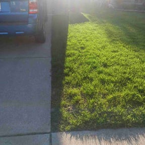 residential landscaping by Guys n Green LLC reviewed on November 24, 2025