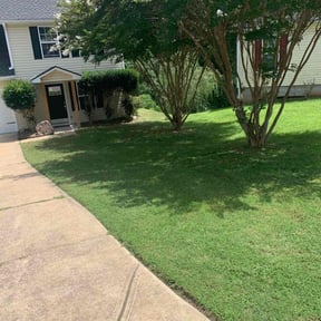 yard care by Loves Landscaping reviewed on December 17, 2025