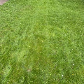 Leaf Removal by AR landscaping reviewed on September 24, 2025