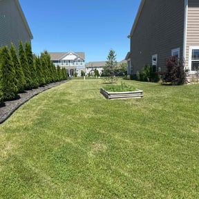 yard care by Roger W Ries reviewed on November 23, 2025