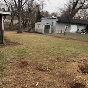 Leaf Removal by Howards Elite Lawn Care and Landscaping reviewed on September 21, 2025