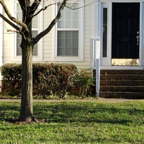 Bush Trimming by Top Landscape Maintenance LLC reviewed on August 15, 2025