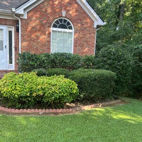 Bush Trimming by Keep It Loe Lawn Service reviewed on April 21, 2024