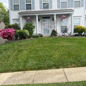 yard care by TNT landscaping &amp; Lawncare llc reviewed on November 23, 2025