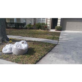 Leaf Removal by Earth Is The Lord enterprise llc reviewed on September 29, 2025